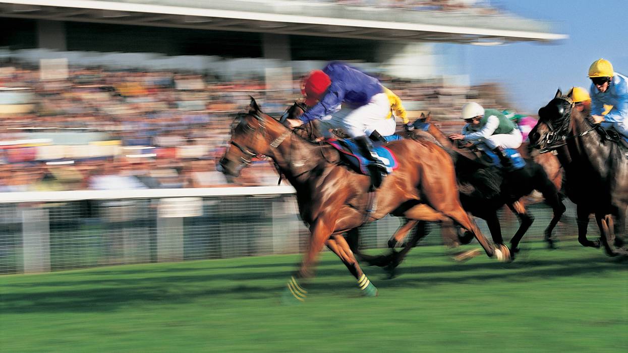 Horse Race - stock photo