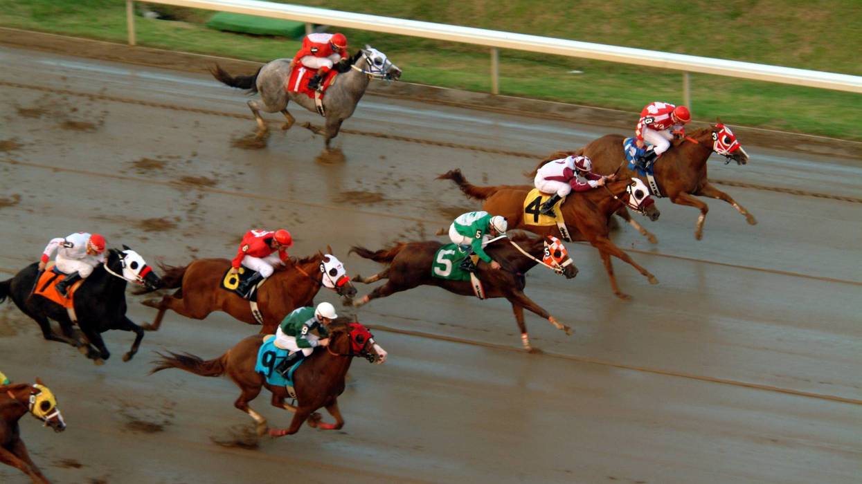 horse racing