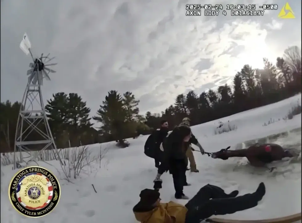 Horse Rescue