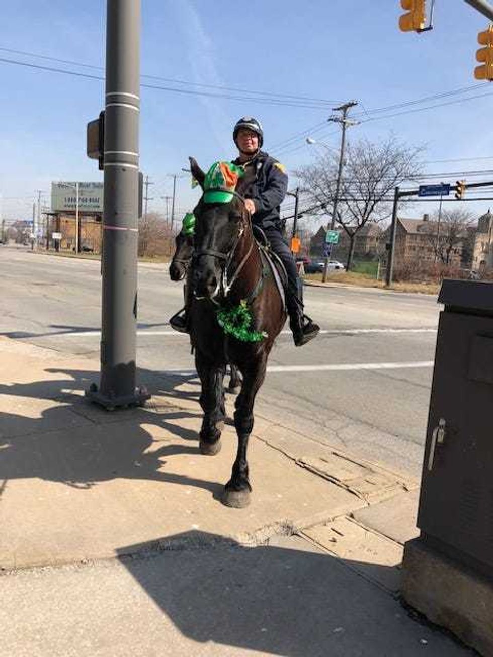 horse