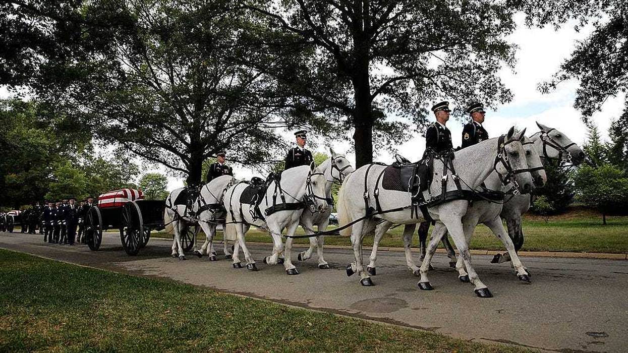 Horses at Arlington National Cemetery