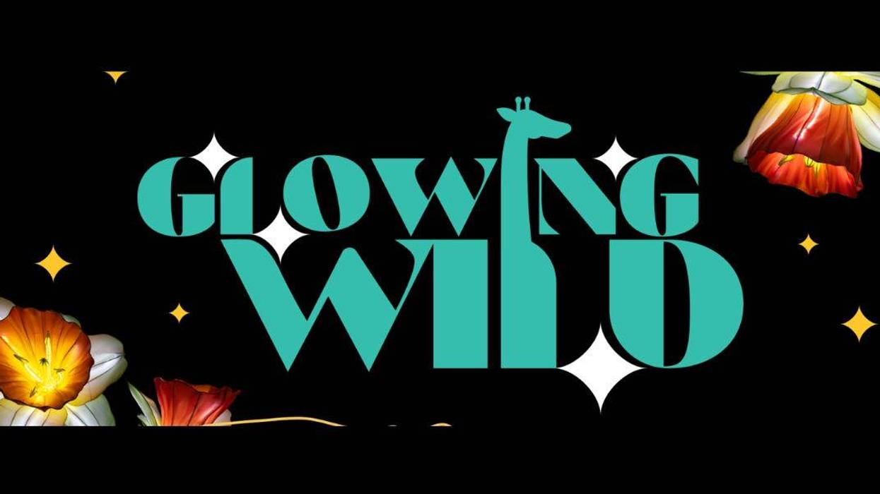 Glowing Wild at The Denver Zoo