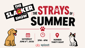 The Strays of Summer