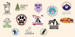 Strays of Summer Rescue's