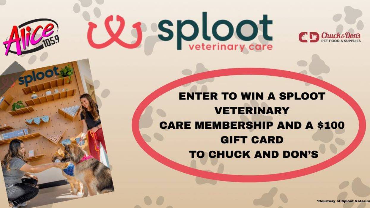 https://www.splootvets.com/locations/denver