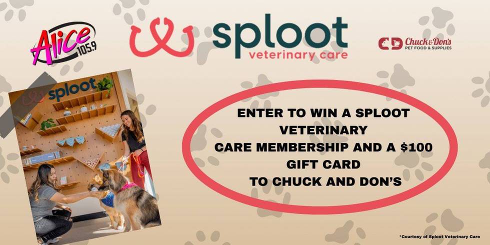 https://www.splootvets.com/