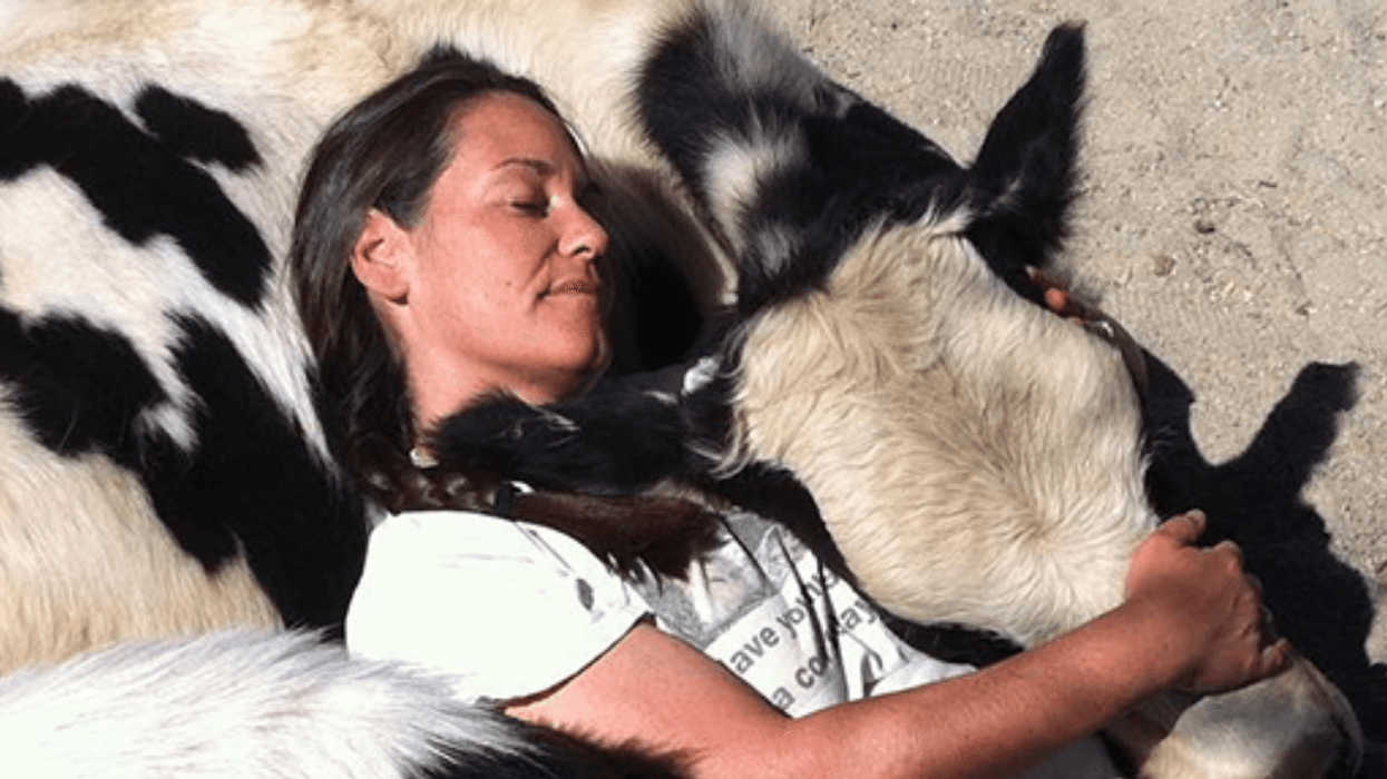 Hugging a cow at the Gentle Barn