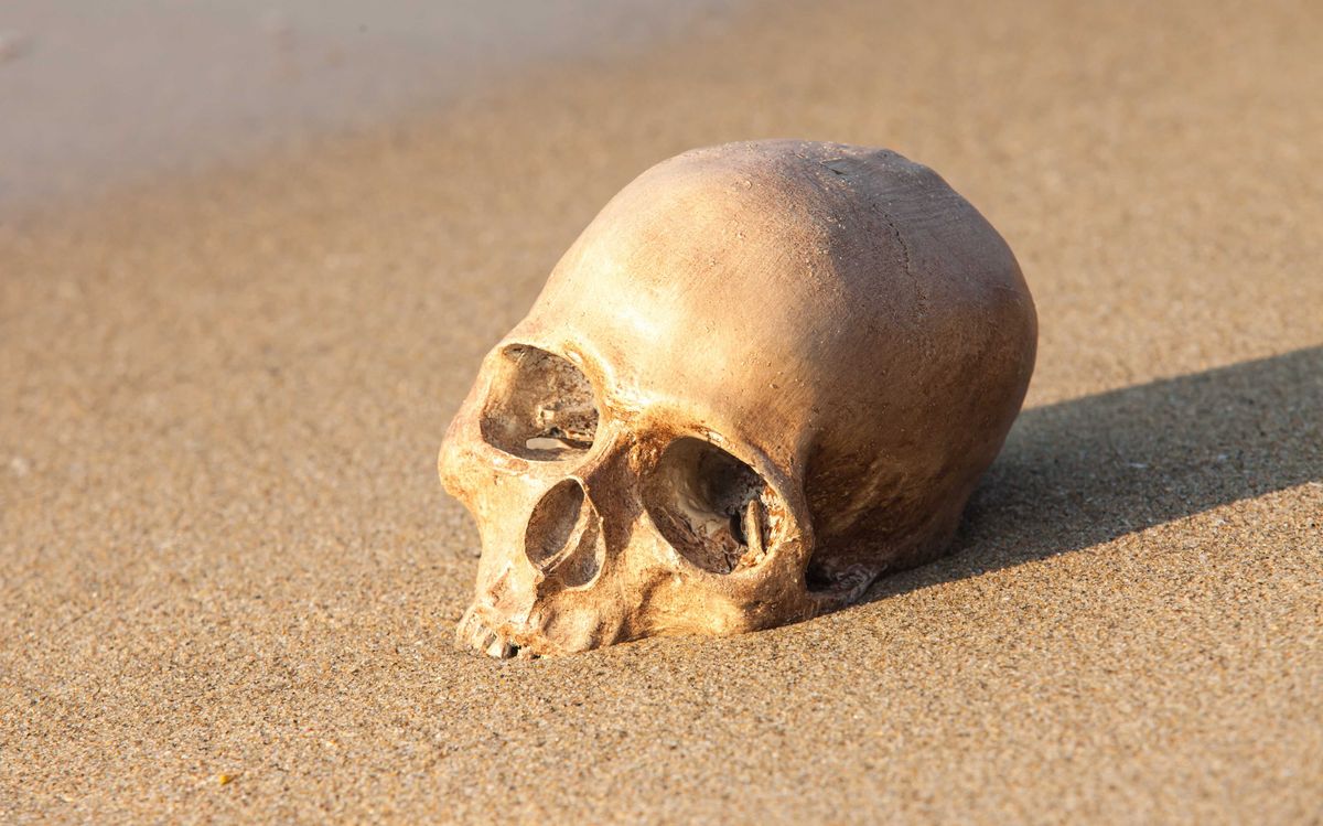 Human skull on beach