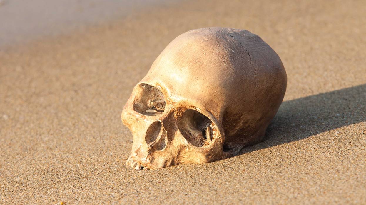 Human skull on beach