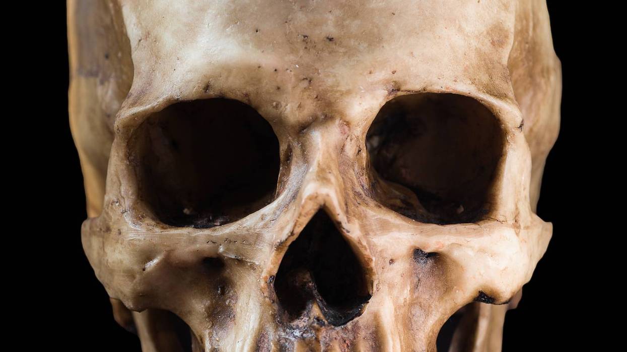 Human skull on black background