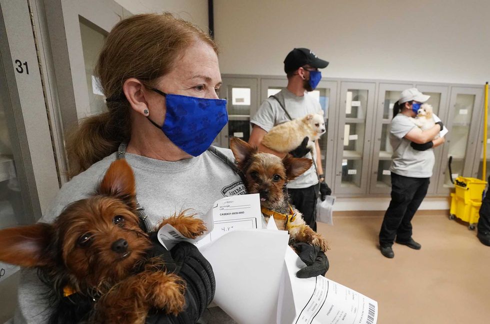 Humane Society of Missouri