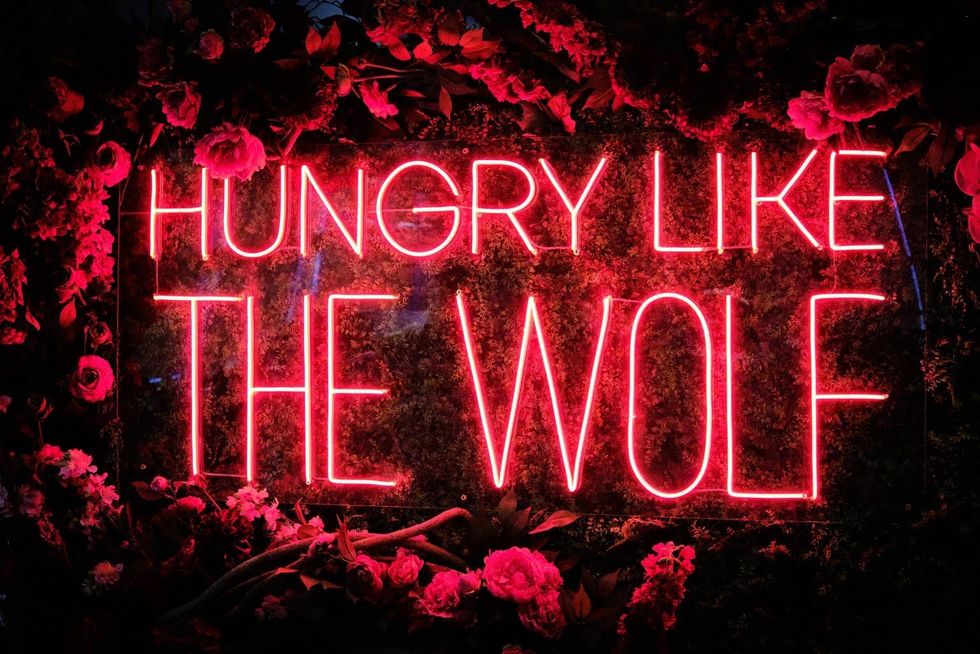 Hungry Wolf