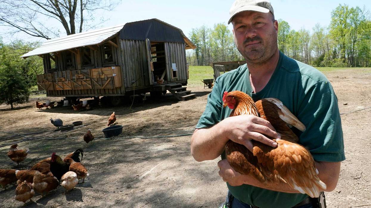 Hunting Dogs Lawsuit