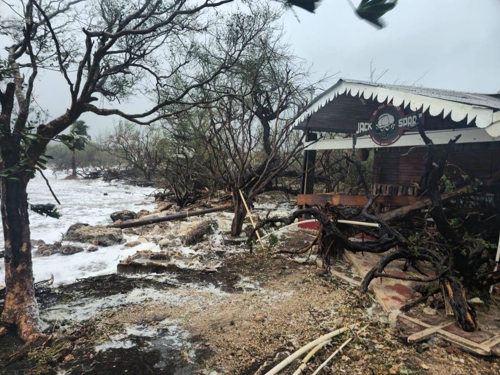 Hurricane Melissa impact on Jamaica: downed trees and destroyed property. Oct. 30, 2025.
