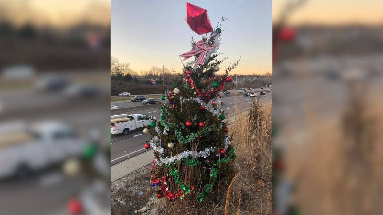 I-270 tree