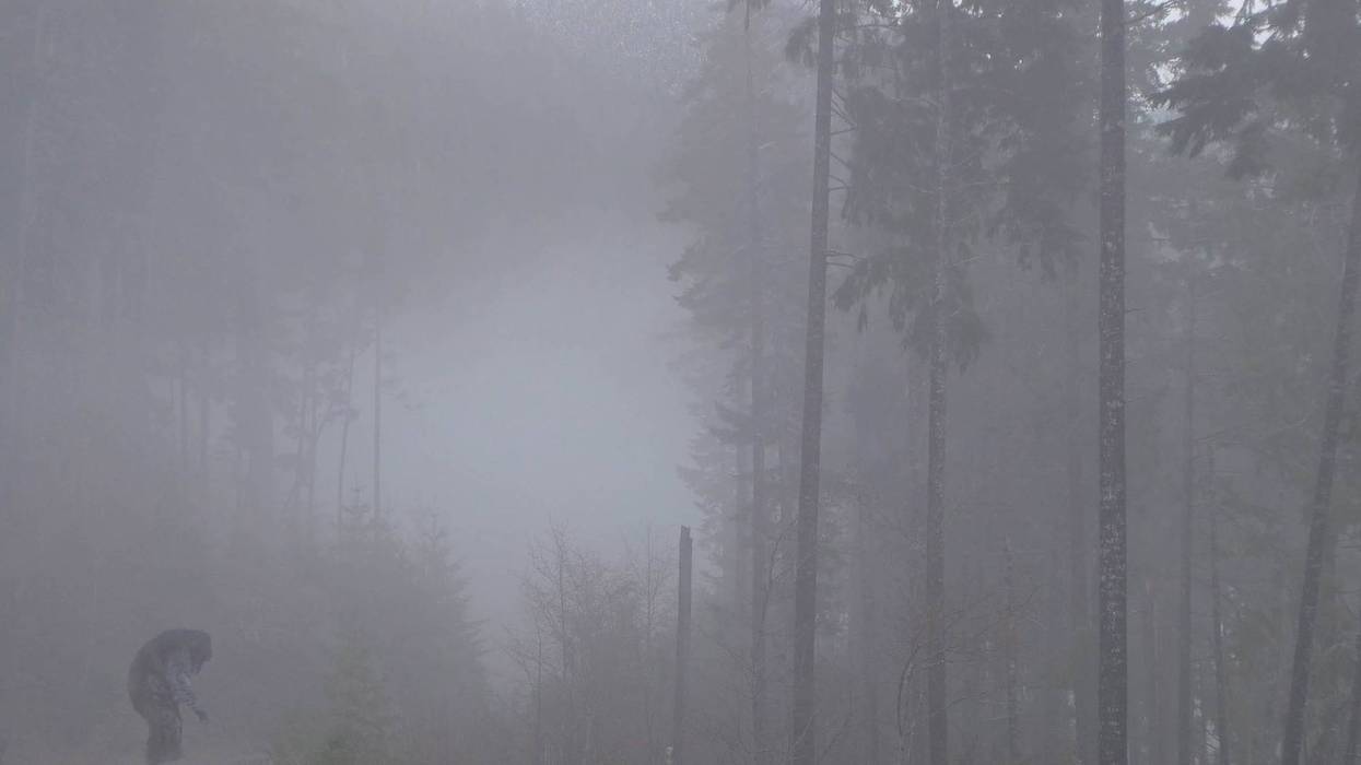 I want to believe -- Louisiana Bigfoot Festival stalks Natchitoches