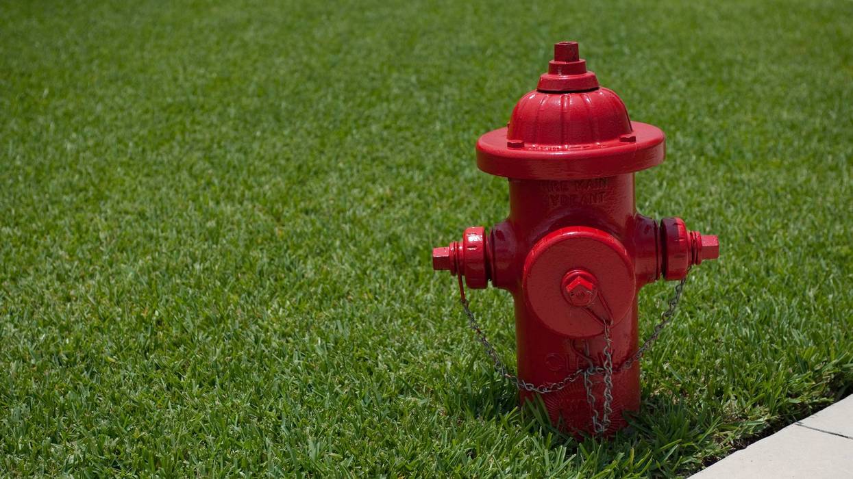 Iconic red fire hydrant against green grass and sidewalk