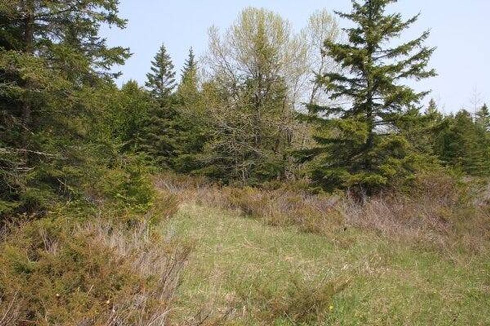 If you ever wanted some beach front property or acreage up north for hunting and other activities, an online auction of state-managed land that begins next month might be the big break you