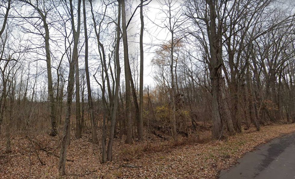 If you ever wanted some beach front property or acreage up north for hunting and other activities, an online auction of state-managed land that begins next month might be the big break you