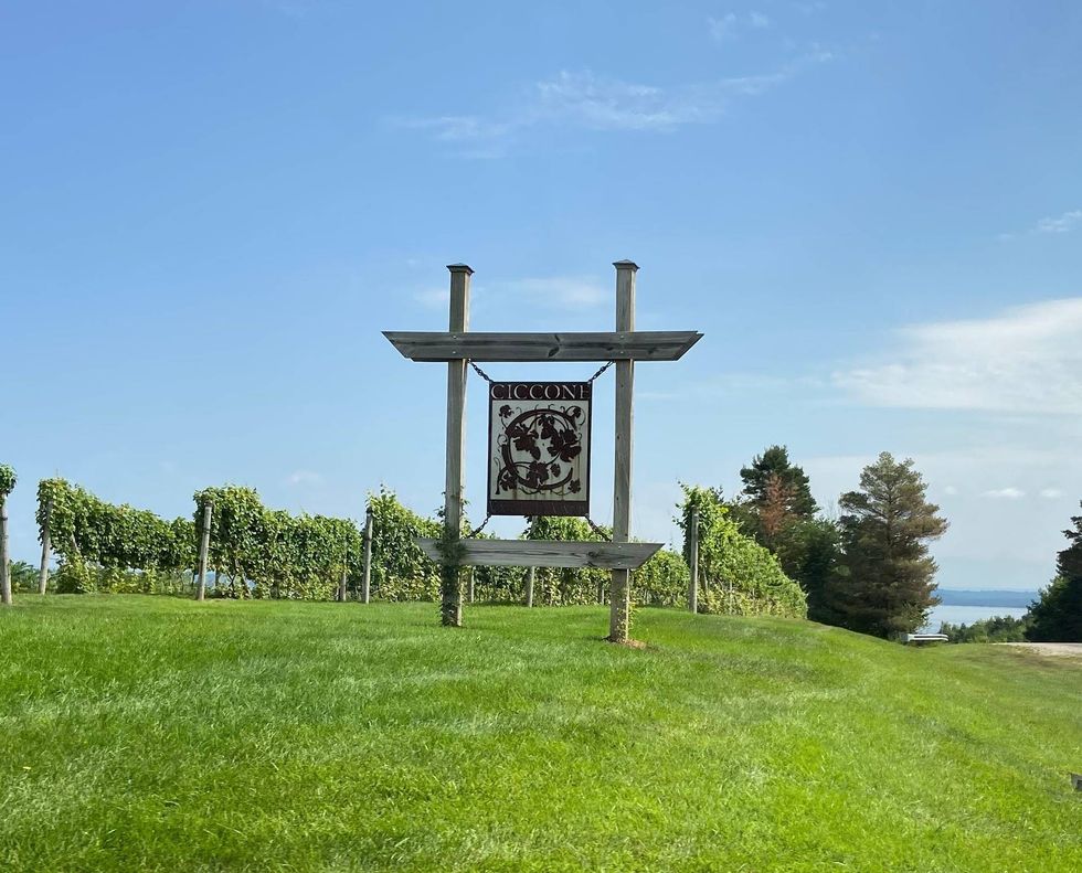 If you ever wanted to own your own winery and vineyard in Michigan