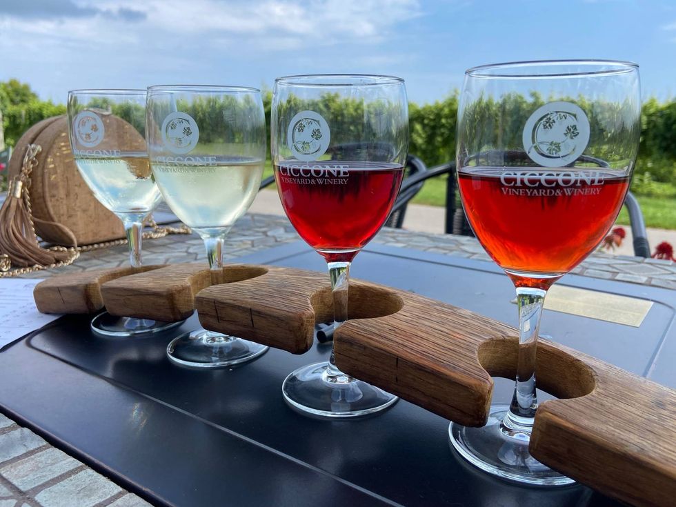 If you ever wanted to own your own winery and vineyard in Michigan