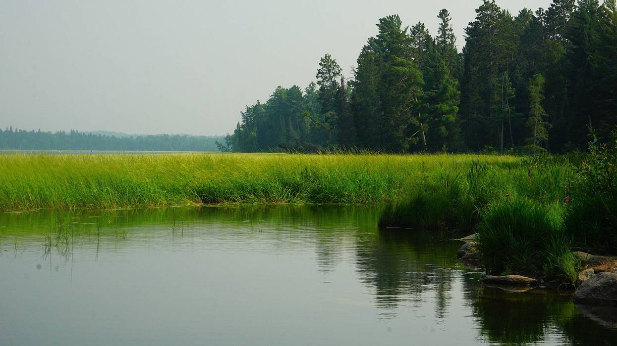 If you're in areas like northern Minnesota's Itasca State Park this weekend, you may see some hazy, smoky skies.