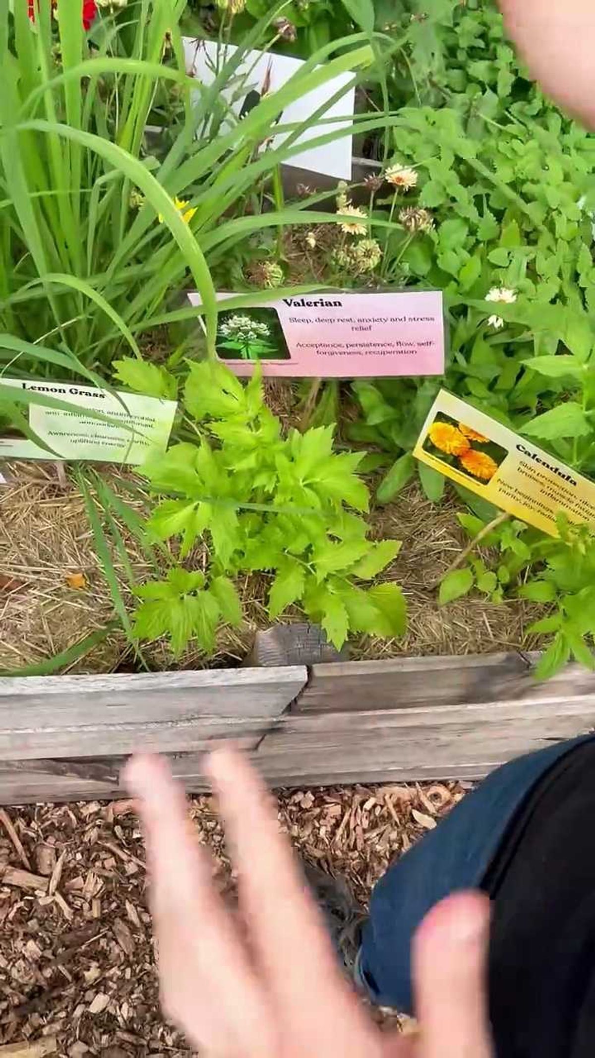 It's called "Just Us Gardens" in North Minneapolis, and it's planted and planned by the incarcerated