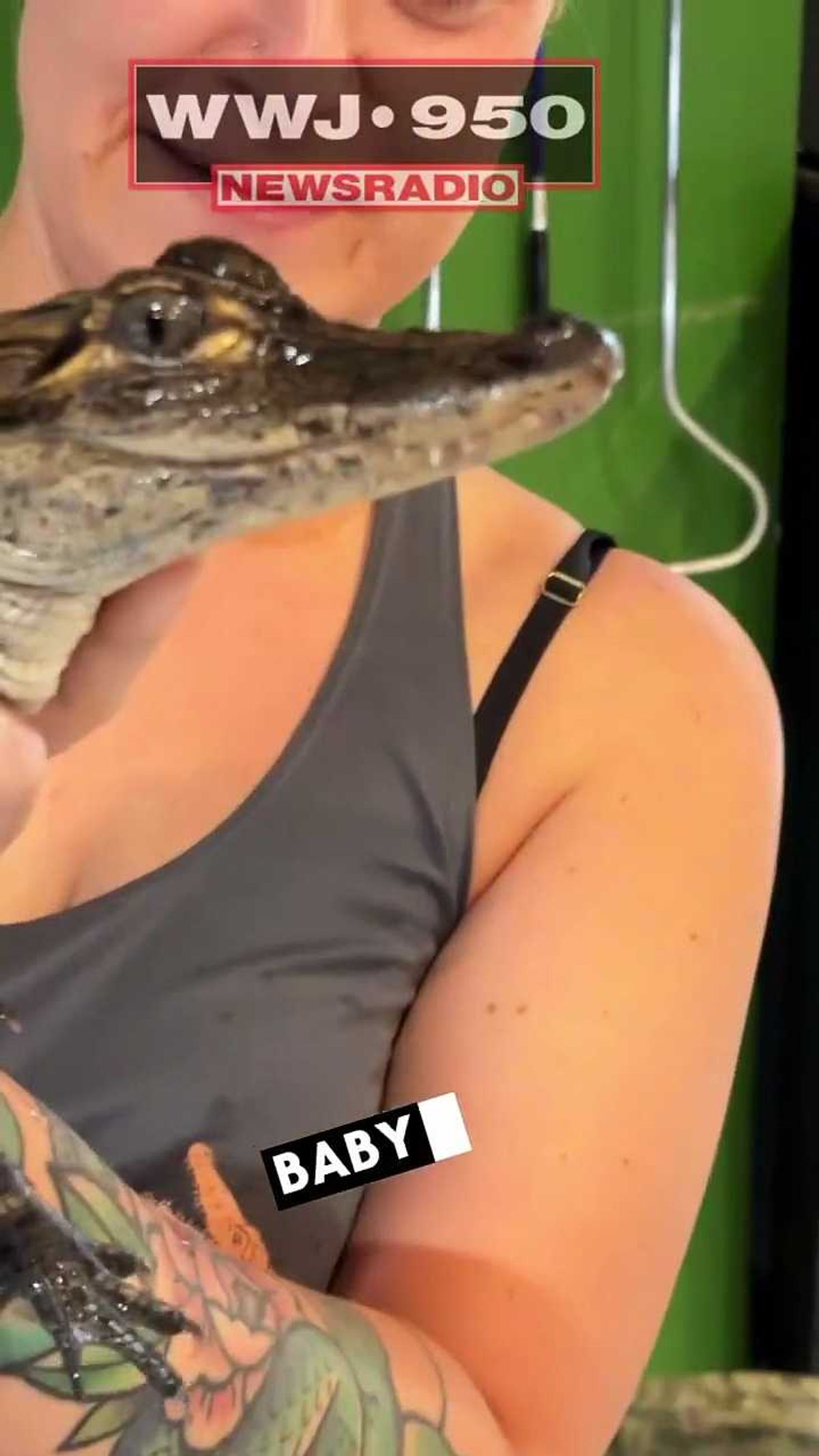 Predator not seen for 100 years spotted on metropark trail cam