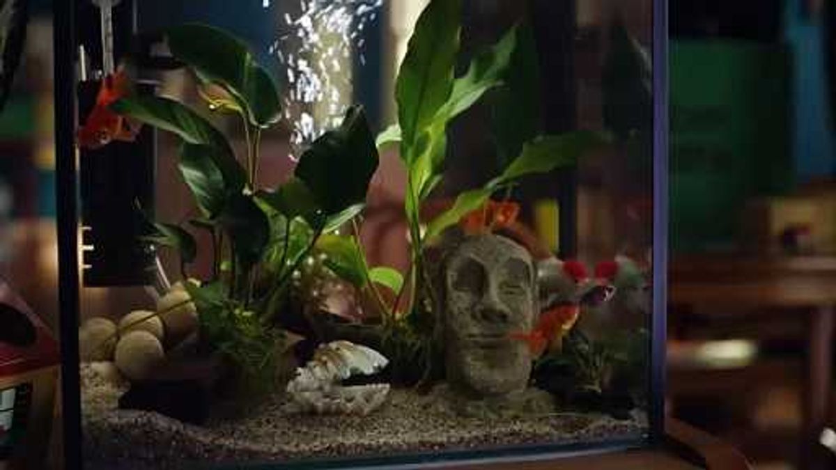 Mike Breen on Mavs being down 0-2: "One win can completely turn around the perception of the series"