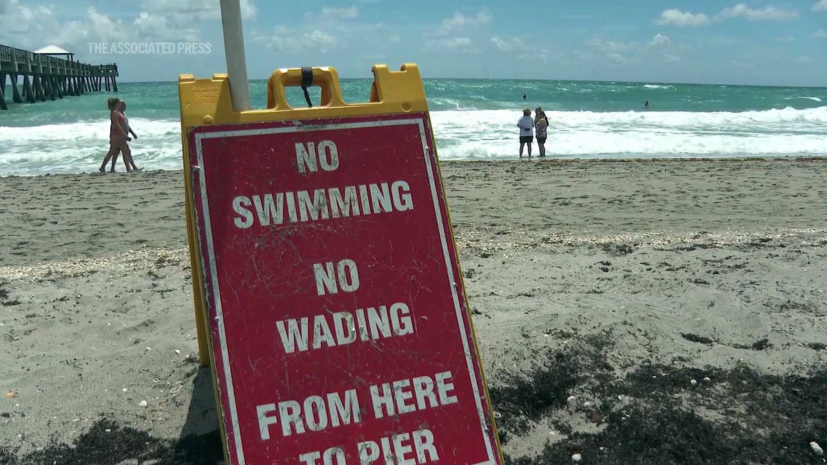 5 million above ground pools recalled