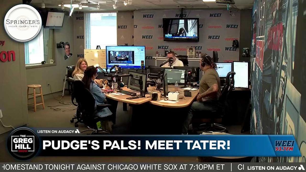 Most popular dog breed in 2025 revealed