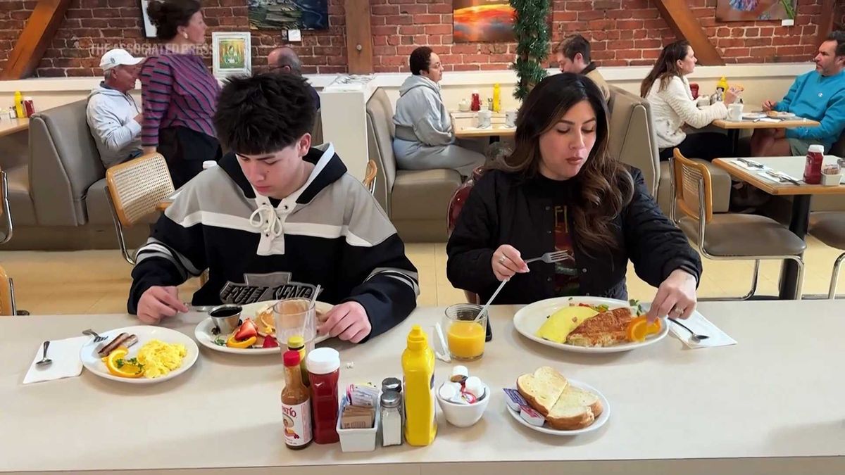 Cat food recalled for possible connection to bird flu