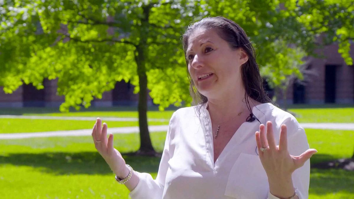 Why are grocery prices so high? Feds are investigating