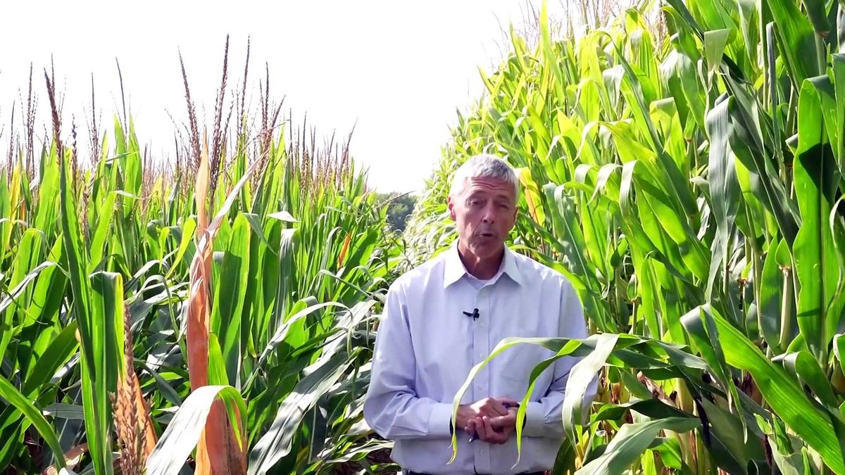 Most of Earth's land has dried out due to climate change