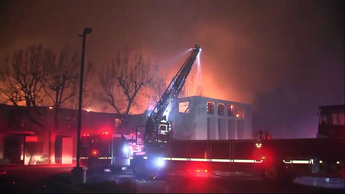 How to apply for a job with Elon Musk’s DOGE