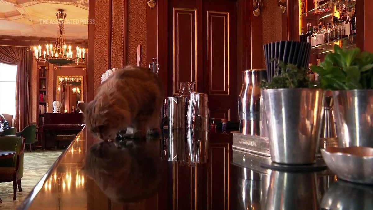 Woman missing for four days on a spiritual hiking trip is found alive