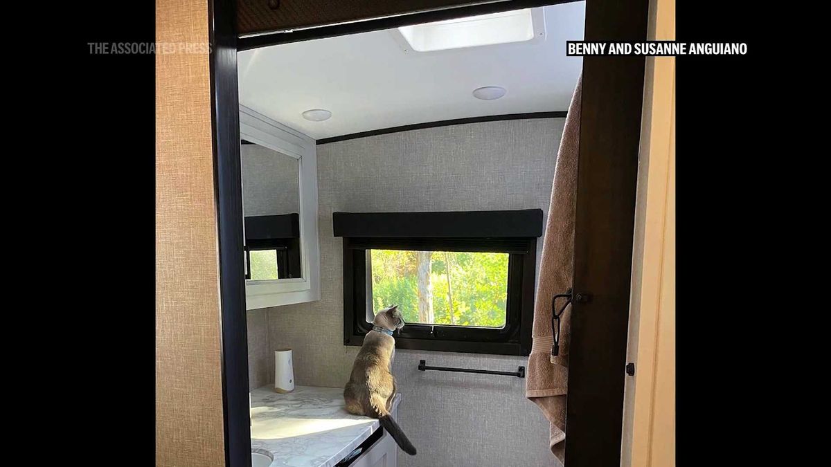 Retired police dog goes back to work on family walk and finds lost hiker