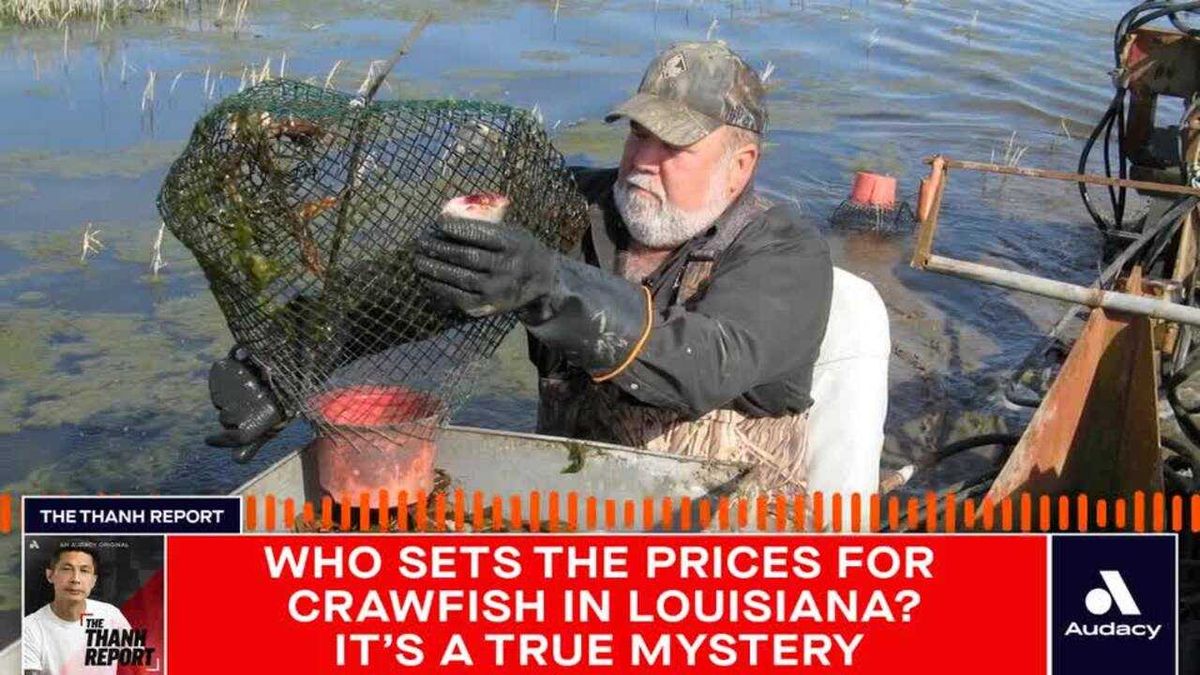 Intentionally releasing a balloon is now banned in Florida