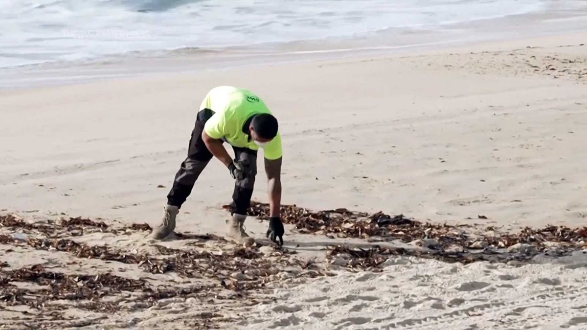 New Disney cruise ship rescues 4 from catamaran off Bermuda before maiden voyage