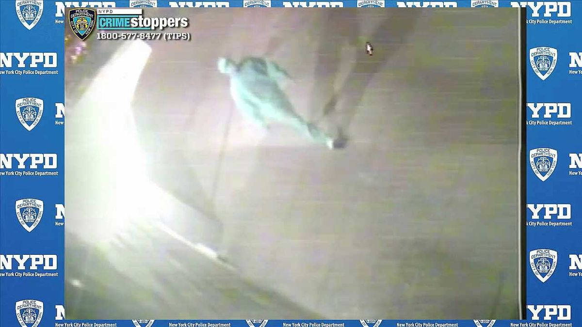 Murderer allegedly calls police to report the crime as a bear attack