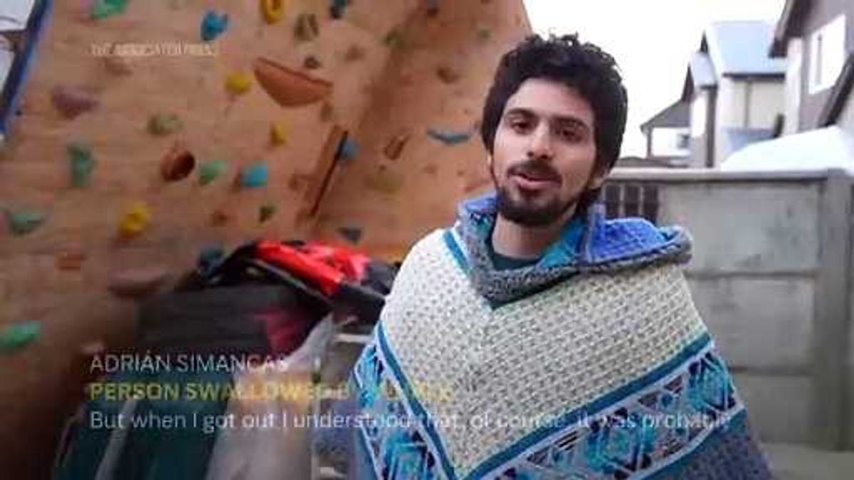 Fifth dead whale found in San Fran Bay