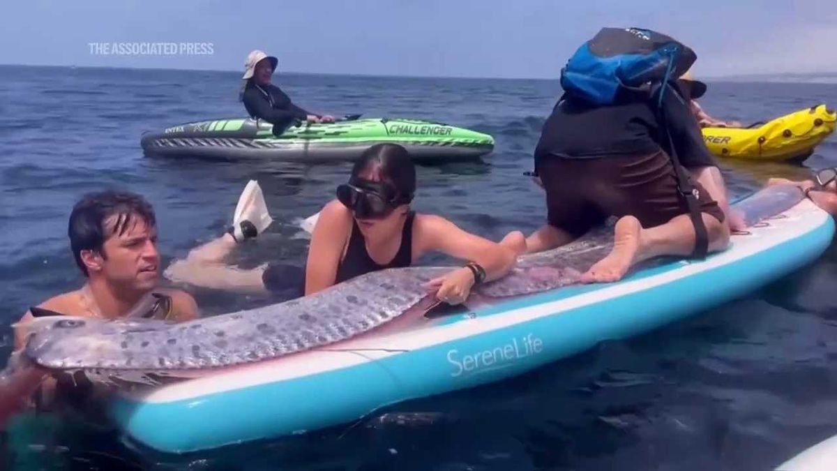 78% of teachers are burned out: study