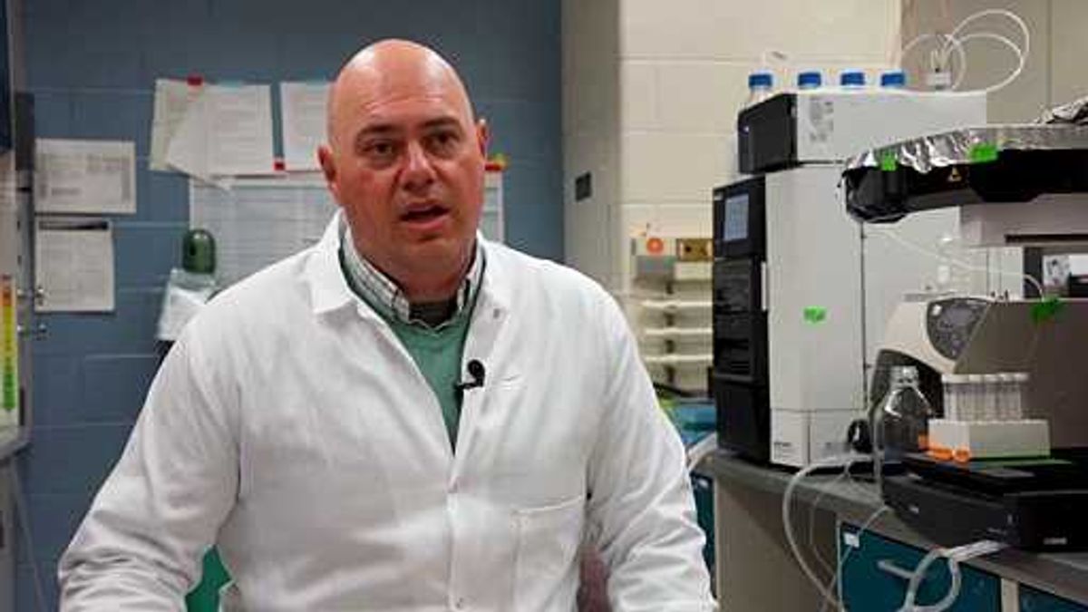 Are Gen Z workers really fragile?