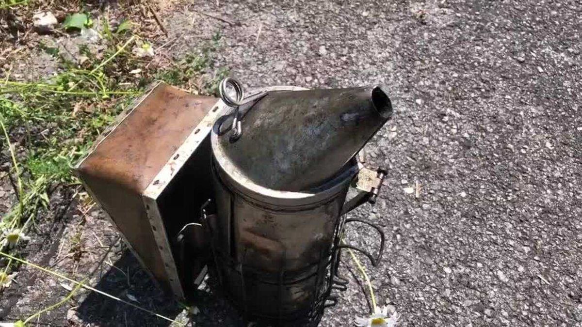 STUDY: Your highway commute is contributing to bee deaths