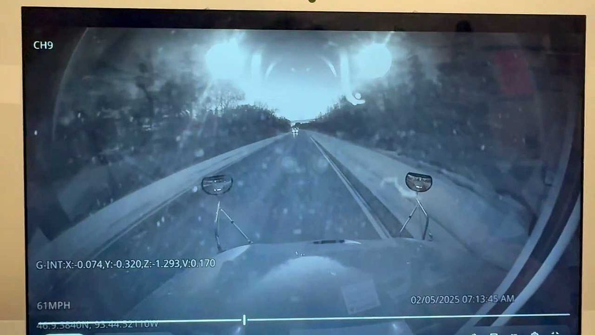 'Furry Act' bans pet-like behavior, including barking, wearing collars, hissing in Texas schools