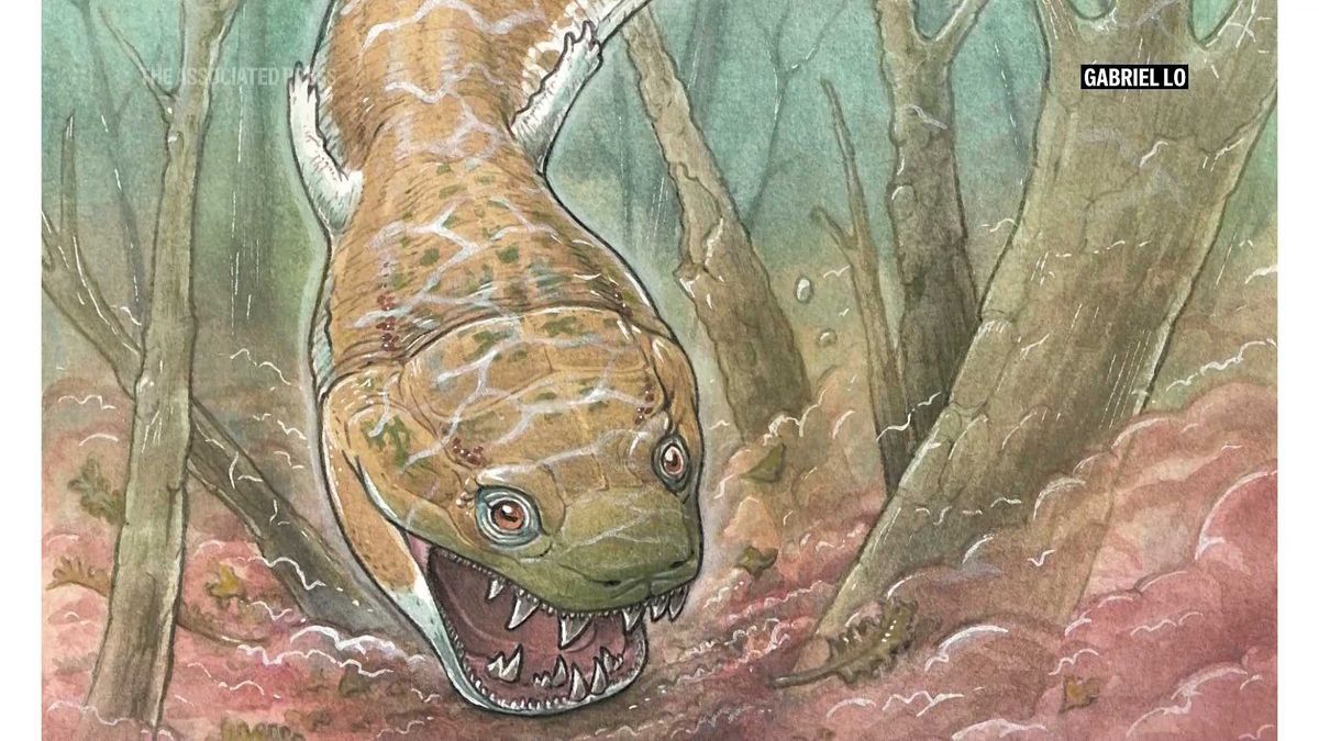 Stegosaurus fossil known as 'Apex' sells for record $44.6 million