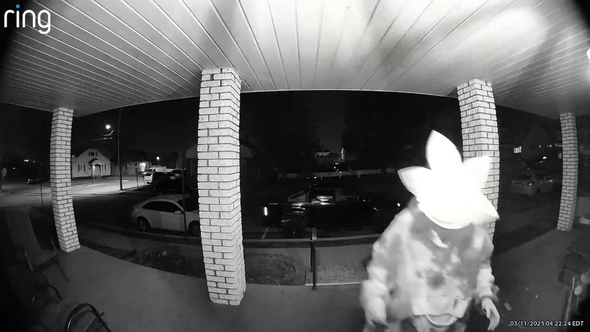 Police say they know who is behind disturbing viral 'Box Demon' video