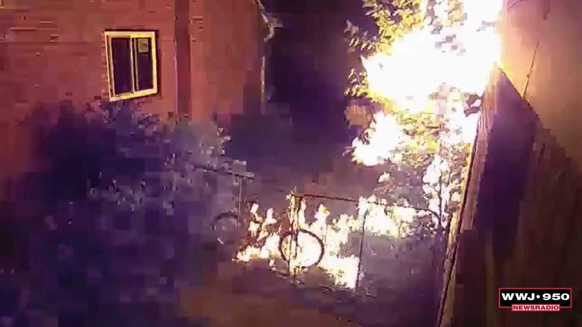 People in multiple southern states can now buy ammo out of AI-powered vending machines