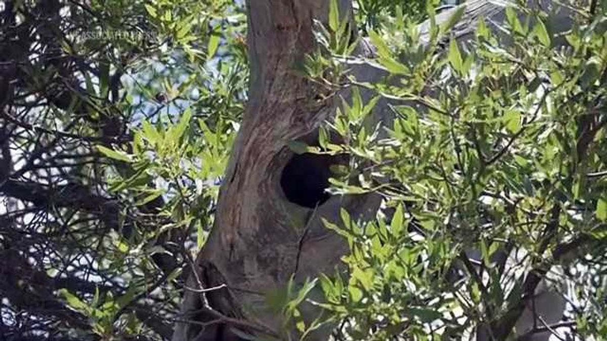 Massive recall issued for Fiji Water