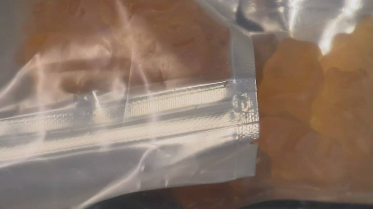 Man accused of handing out Halloween candy mixed with marijuana